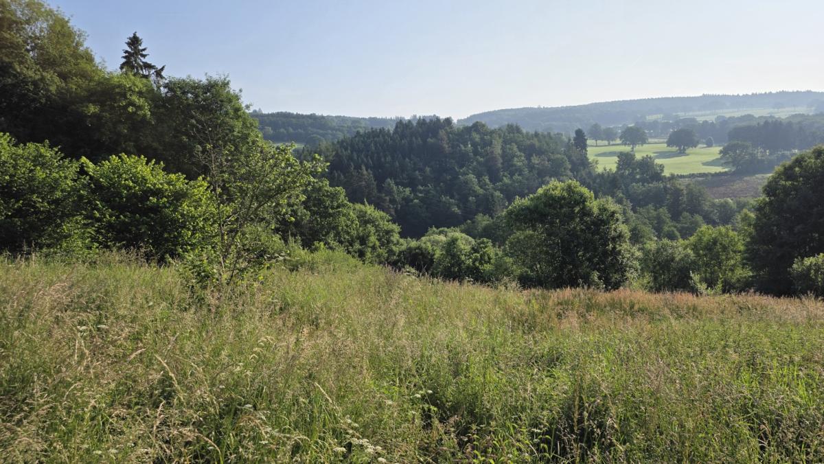 Spacieux terrain à bâtir dans village paisible