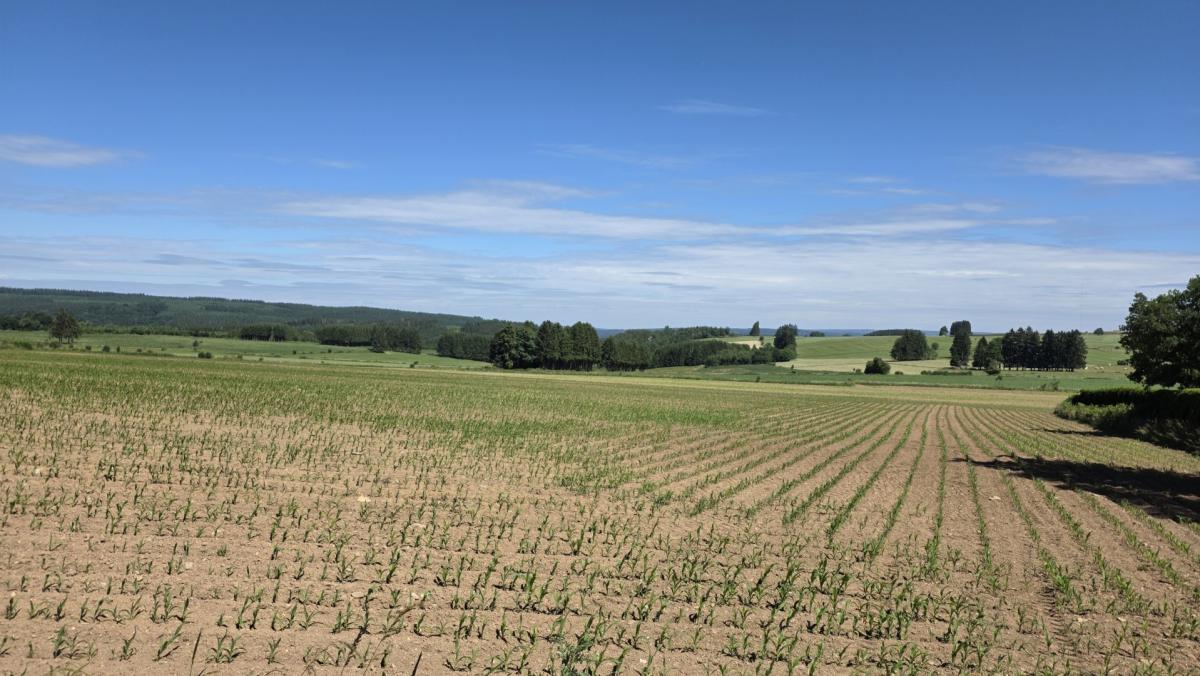 Deux parcelles à bâtir de 20 ares avec vue panoramique