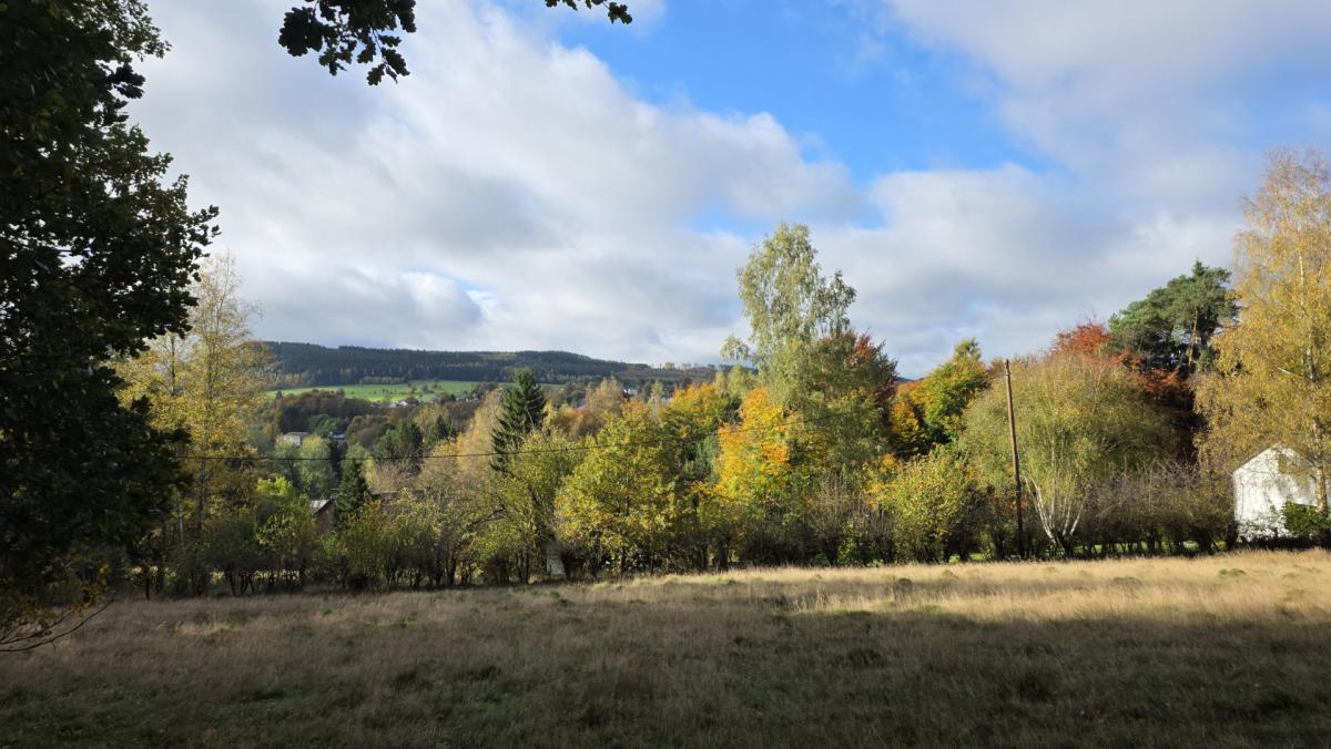 Terrain à bâtir à Priesmont, sur les hauteurs de Vielsalm
