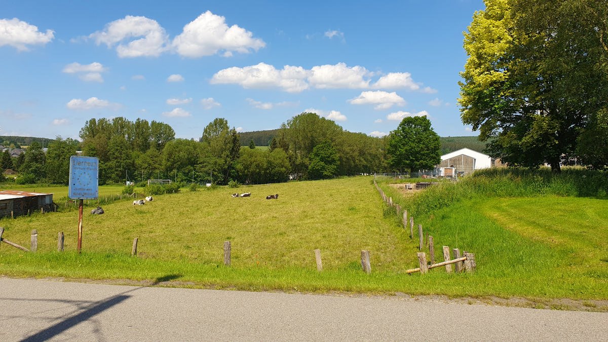 Très grand terrain à bâtir