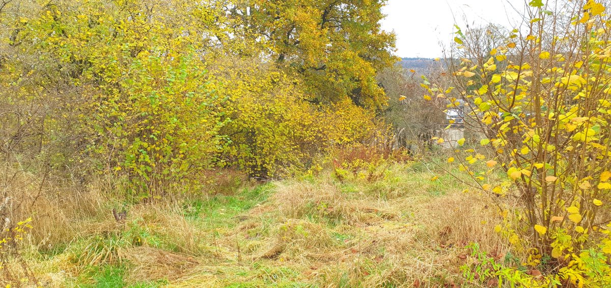 Terrain à bâtir au centre de Vielsalm - OPPORTUNITÉ RARE