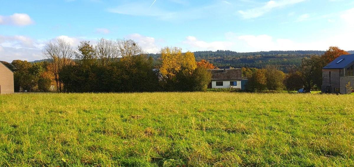 Deux magnifiques terrains à Petit-Thier (Lot 1 vendu)